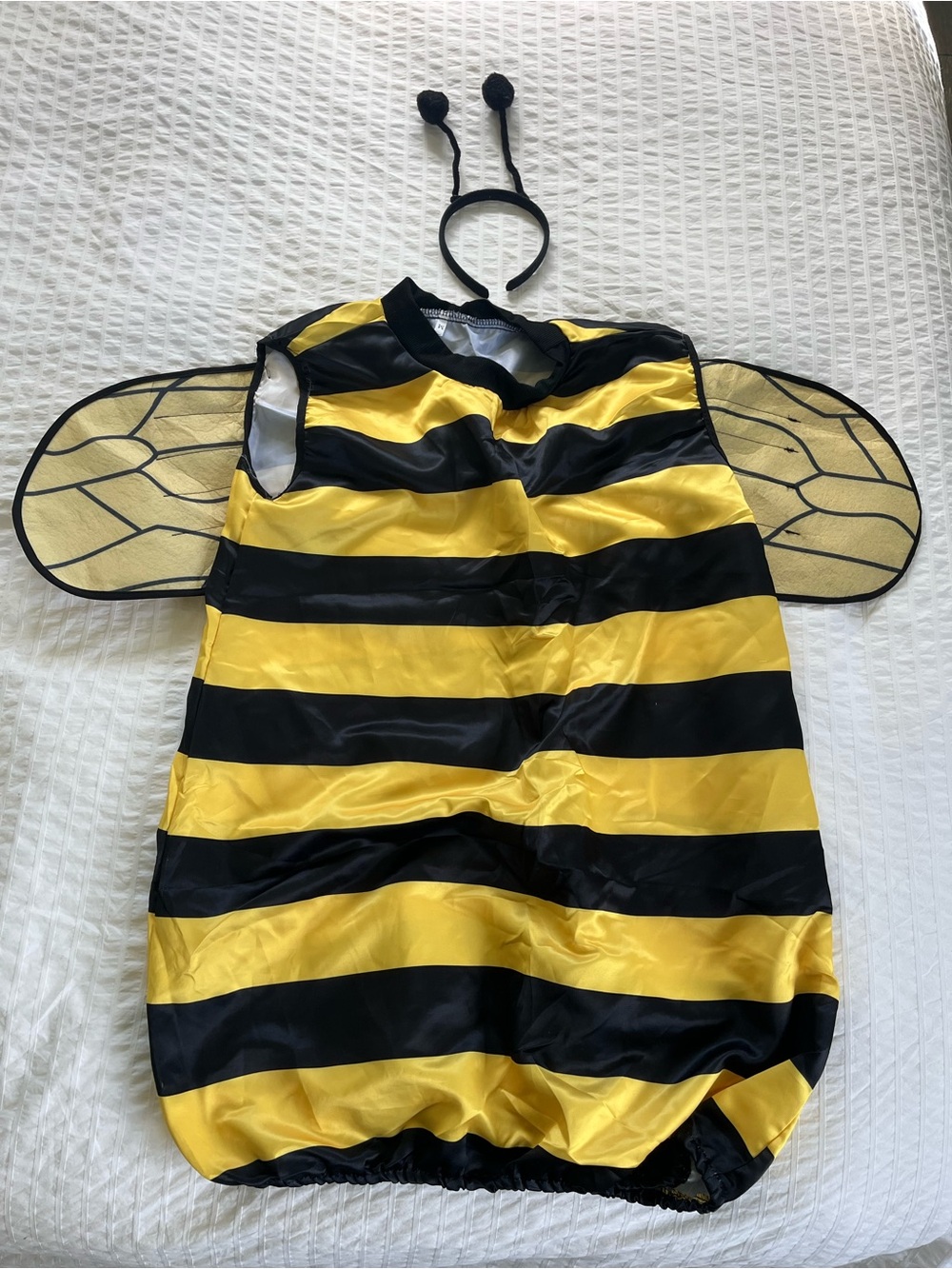 Adult Bumblebee Costume